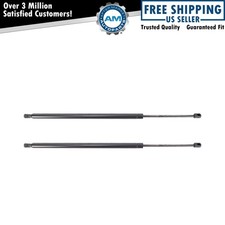 Rear Power Lift Support Shock Set 2 For 09-20 Dodge Grand Caravan Town & Country