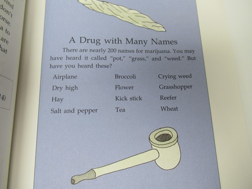 Focus on Hallucinogens, Marijuana, Dictionary Resource Guide, Drug Series 1991 - Picture 16 of 16