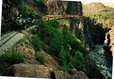 Vintage Postcard 4x6- Engine 481 locomitive pulling train cars next to the Anima