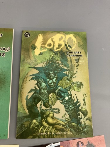 Lobo Collection TPB SET custodia e cartoline più grandi successi 1991 DC Comics raro - Foto 4 di 16