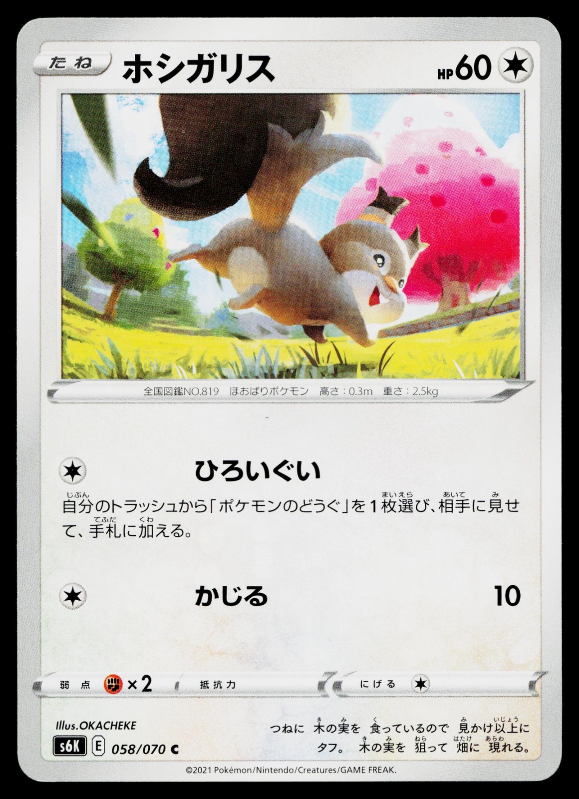 Skwovet 058/070 Rare Jet Black Spirit Pokemon Japanese Lightly Played