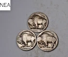 1913+1913-D+1913-S Buffalo Nickel Set/Lot ~ Type 1 ~ ZBL22