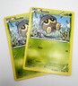 Seedot 4/122 2x Pokémon Card 2015 Breakpoint LP x2