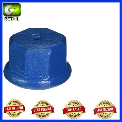 1-1/4 In Blue Malleable Point Well Drive Cap - Essential for Plumbing Projects