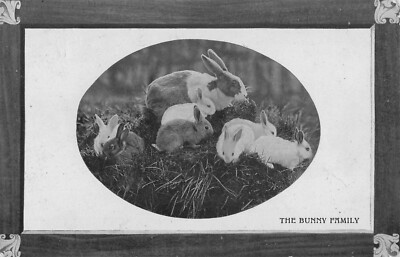 POSTKARTE - DIE HASENFAMILIE - VALENTINSTAG - VERSCHICKT 1911