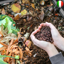 Vermi da compost / Lombrico per lombricompostiere - Direttamente dalla fattoria