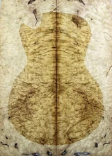 5A Electric Guitar Drop Top 8mm Spalted Golden Camphor Wood Burl Luthier Supply