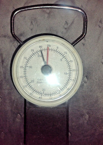 90 lb. Game Scale, measuring tape USA, Free Shipping