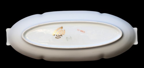 ANTIQUE IMPERIAL AUSTRIA GOLD CELERY TRAY DISH HAND PAINTED 12.5” - 第 7/8 張圖片