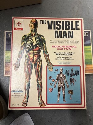 Renwal The Visible Man Educational model kit vintage Human model 800