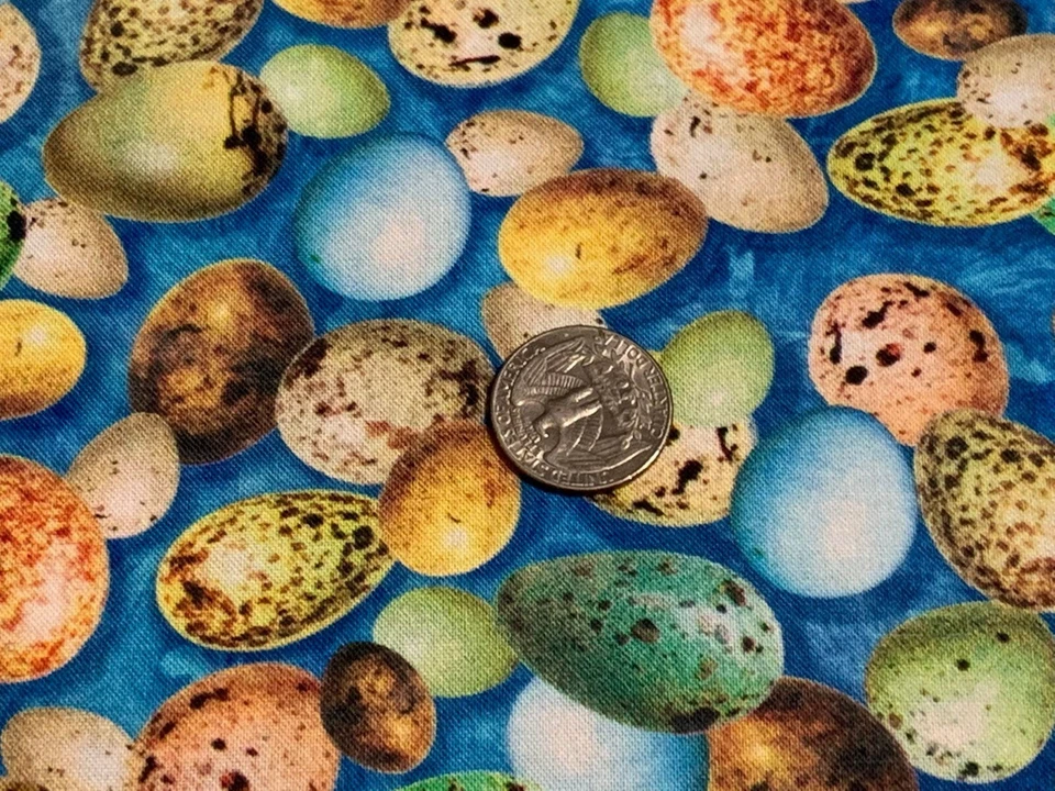 Fabric Wild Bird Eggs on Blue Hummingbirds Garden Cotton QT 1/4 Yard 28156 - Image 3 of 4