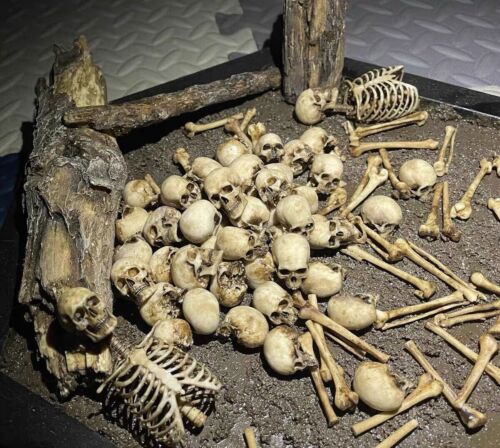 1/12 Scale Human Beings Skeleton PVC Model for 6" Action Figure Accessory Toys - Picture 4 of 24