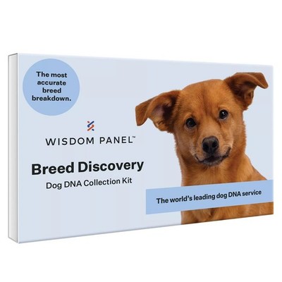 NEW Wisdom Panel 3.0 Dog Breed Discovery DNA Test Kit Most Accurate Health Trait