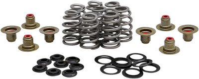 Harley Davidson M8 Beehive Valve Spring Kit .625'' 2017-2023 Kibblewhite 20-21850