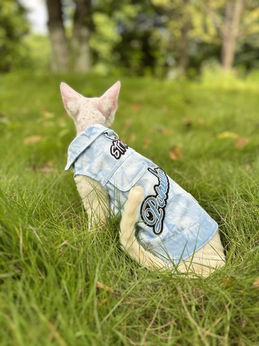 Frühling und Herbst Cowboy bestickte Weste Sphinx haarlose Katze deutsche Kleidung - Bild 6 von 17