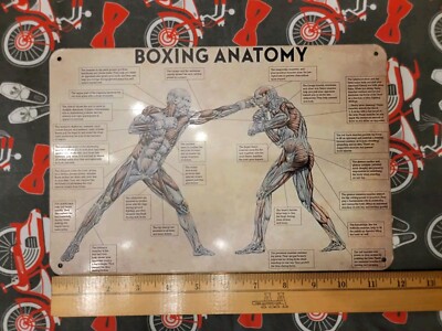 Boxing Anatomy Metal Tin Sign  Gym Garage Mancave Office Studio Boxers punching 