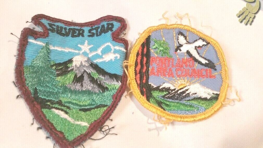 Lot de deux patchs US Boy Scouts - A coudre 