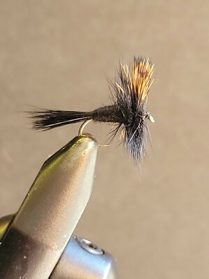 2 Flies,  Size 12, BLACK WULFF DIVIDED WING  Dry  Fly Fishing Flies