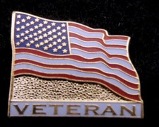 US VETERAN FLAG HAT LAPEL PIN UP USA US ARMY MARINES NAVY AIR FORCE USCG PATRIOT