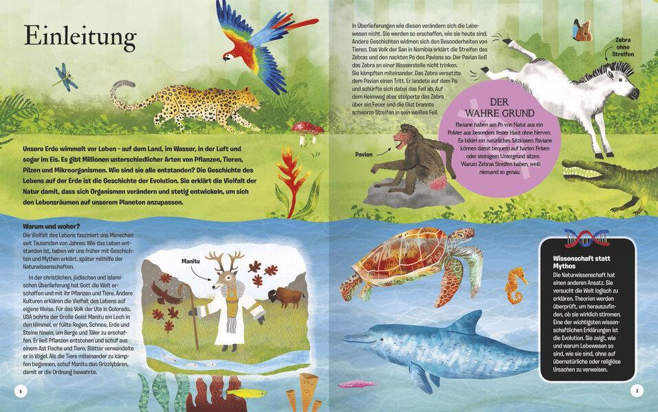 Thumbnail - Die Geschichte Des Lebens - Anne Rooney - 9783741524622