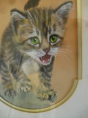 Original Pastel Fierce Kitten Painting Big Green Eyes Framed