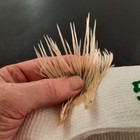 Bild 4 von 8
