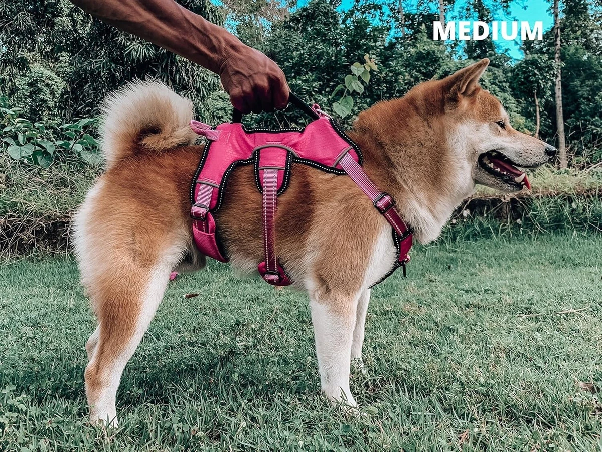 Tuff dog harness top