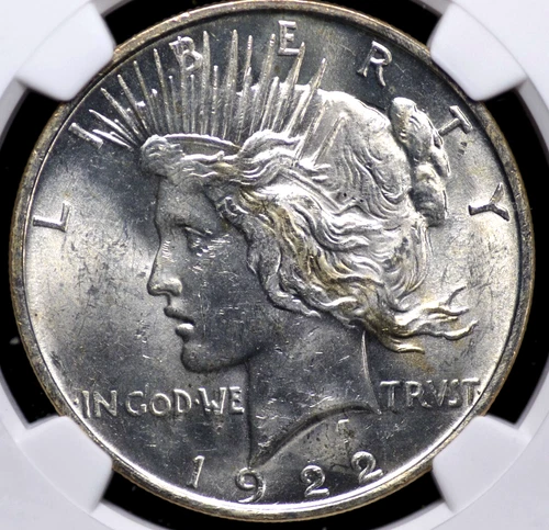 1922 D PEACE DOLLAR NGC MS 61 FROSTY LUSTROUS WHITE AND A FULL STRIKE WITH A