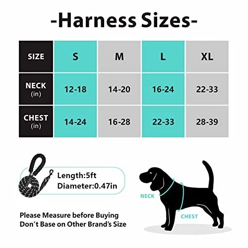 Dog Harness andeash Combo, Escape Proof No Pull Vest Harness, with 5 L Black