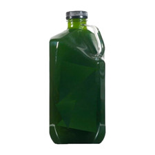 Phytoplankton - 1 Gallon - Super Healthy - Fast - Free Shipping - Nano