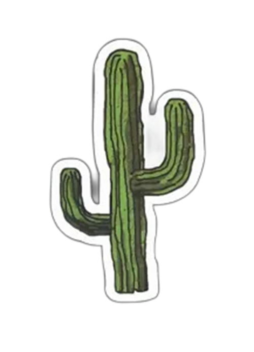 Cactus Sticker Decal