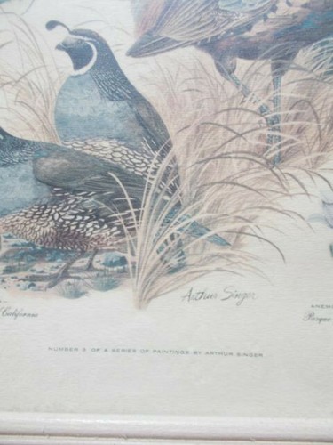 3-Vintage Arthur Singer gerahmter Druck Vögel Nummer 1, 2 & 3 einer Serie - Bild 5 von 9