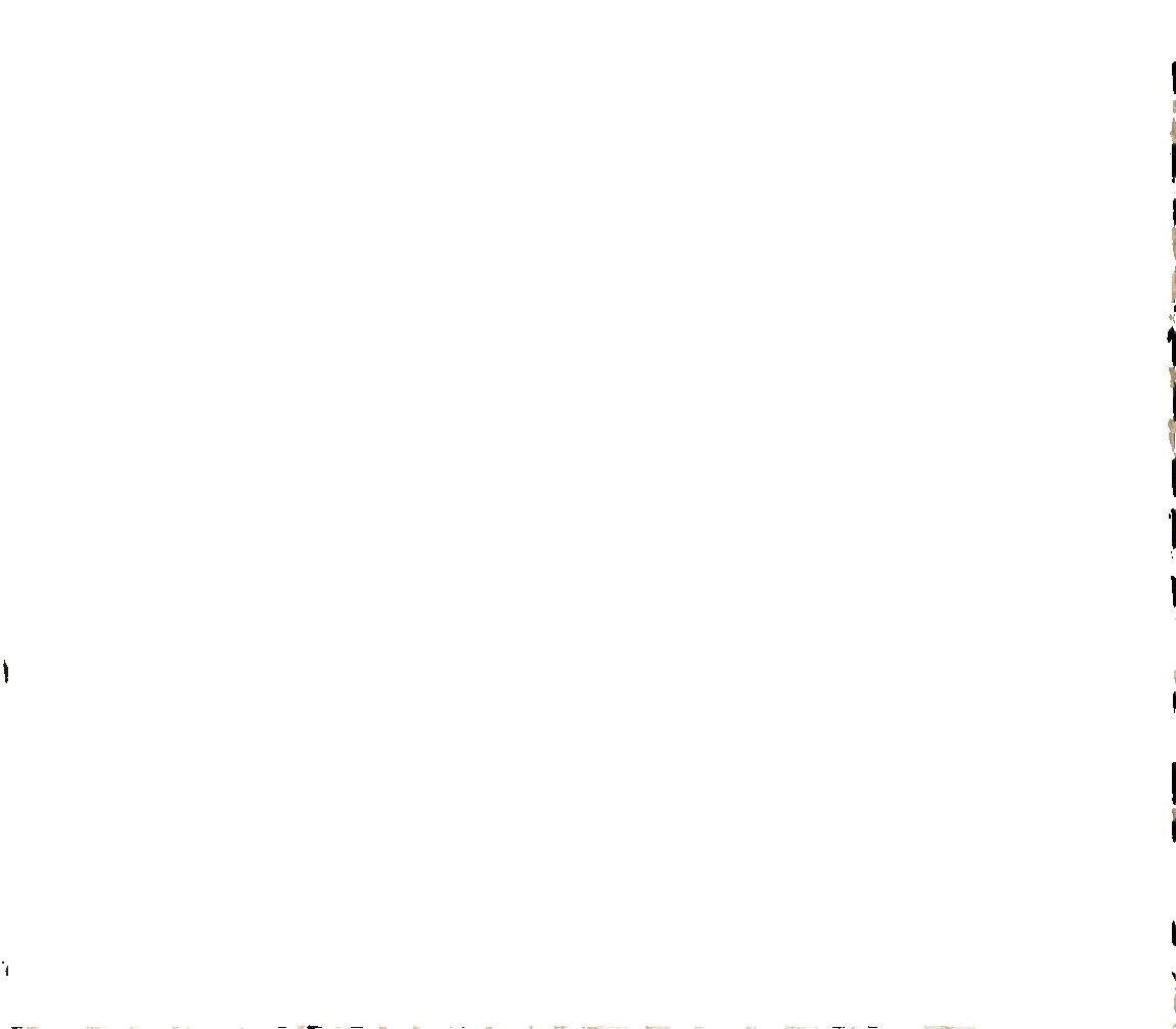 Animal Print Black Craft Fabrics