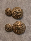 Civil War US Navy Eagle Buttons Lot – D. Evans Attleboro  - Non Dug
