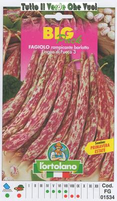 Semi Di Fagiolo Rampicante Borlotto Lingua Di Fuoco - Confezione Da 100g (circa 200 Semi), Per Orto E Giardino - Foto 7
