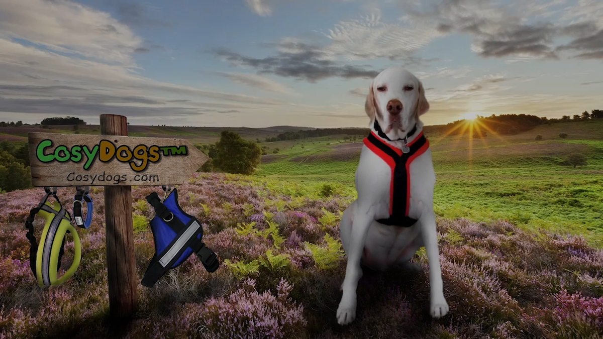 High Visibility Fleece Dog Harness by CosyDogs, Be Seen In The