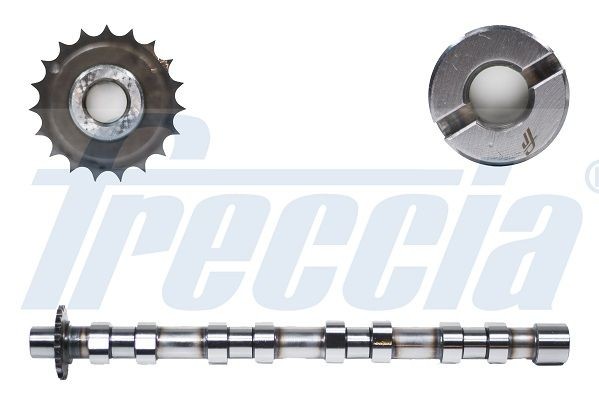 NEU - Freccia CM05-2176 Nockenwelle FüR CitroËN Passend FüR Fiat Ford Lancia-image