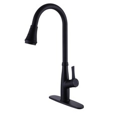 Single Handle Kitchen Sink Faucet with Pull Down Sprayer Matte Black
