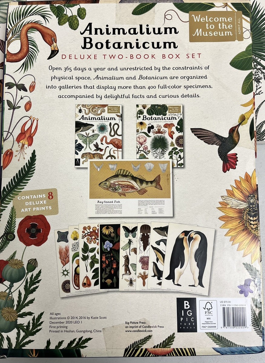 ボタニカム、アニマリウム　2冊セット　英語版 Animalium Botanicum 2 Book Set With Prints Brand New No Box | eBay