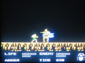 Werewolf: The Last Warrior (NES, 1990) By Data East (Cartridge Only) NTSC