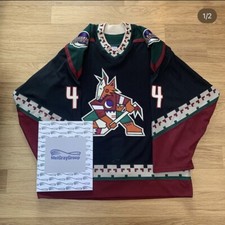 Phoenix Coyotes NHL Game Worn Hockey Jersey