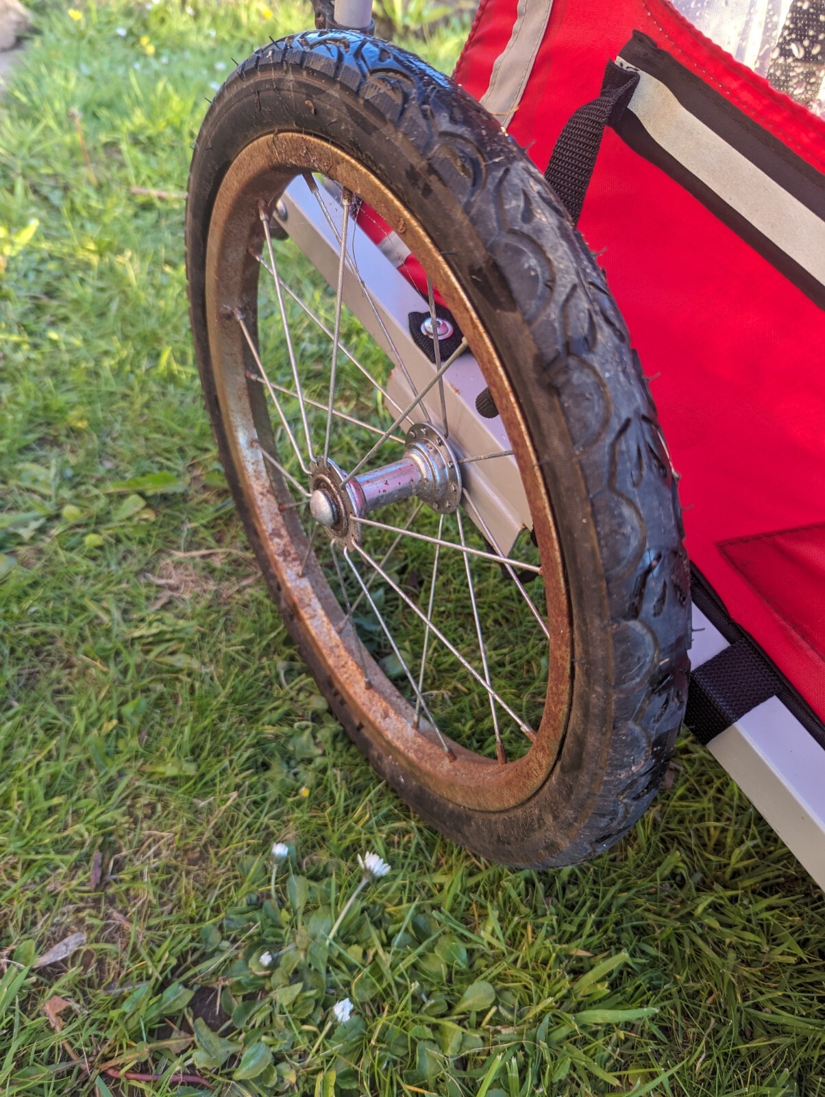 Single Child / Dog Bike Trailer eBay