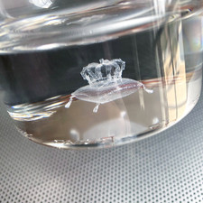 Crown Royal 3D Hologram Crown Whiskey Rocks Glass Set of 4