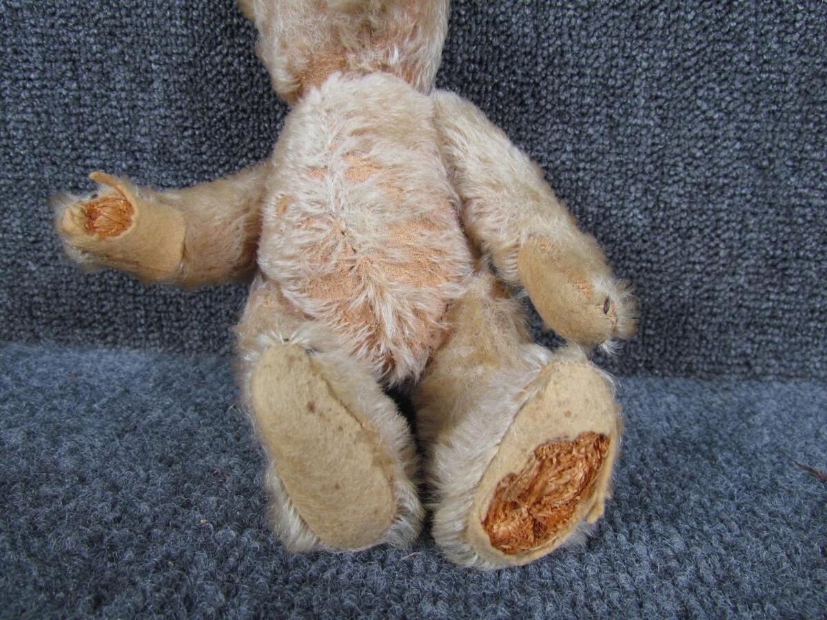 12 Antique Straw Stuffed Steiff Teddy Bear with Button in Ear — Turn of  the Century