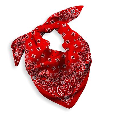小物 AT LAST & CO red bandanna s-l400.jpg