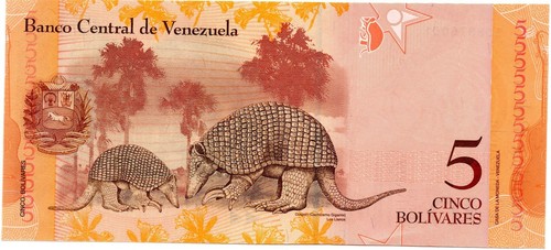 VENEZUELA 20 10 5 & 2 Bolivares x 4 UNC Banknote Set - Picture 3 of 5