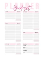 Digital BUDGET PLANNER planner pdf editable file Instant Download and Print bp6a