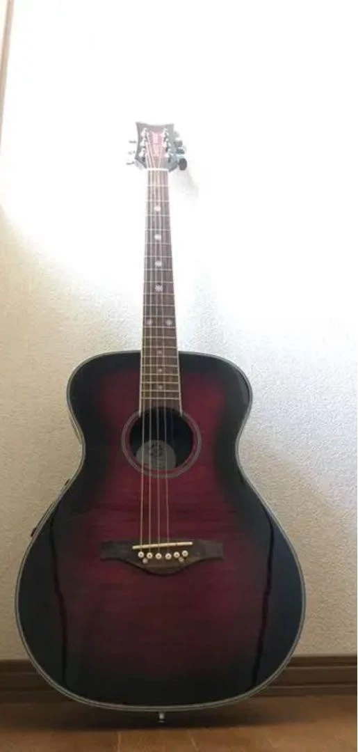 Daisy Rock Acoustic Guitars for sale | eBay
