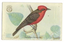 Vermillion Flycatcher Useful Birds of America Card Arm & Hammer #3 1918