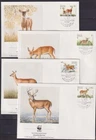 Netherlands Antilles 1992 Fauna, Wild Animals, WWF - FDC